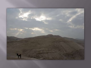 דרכן של נזירות במדבר