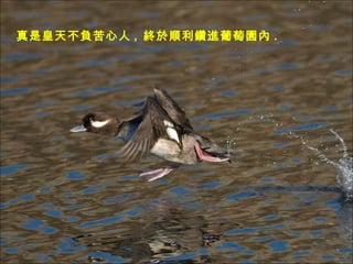 ǻ첻ؓ ,  KMш@ . 