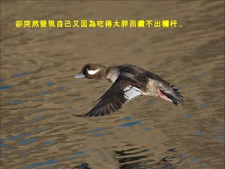 sͻȻlFԼԵֶ̫荲ڸ , 