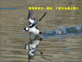 ݵøԭһӕr ,  荳@ .   