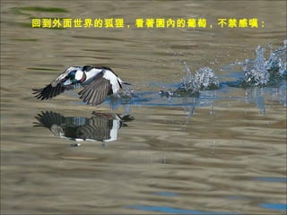 صĺ ,  @ȵ ,  Ї@ : 
