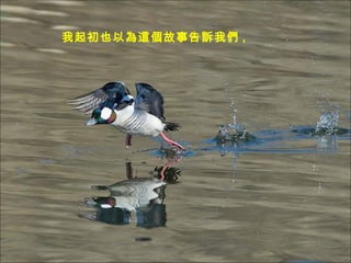 ҲԞ@¸V҂ ,   