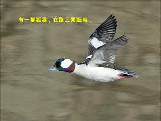 һb ,  ·fr ,   