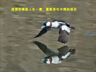 @¸һ ,  صмĲ 
