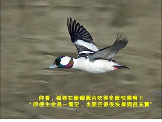 㿴 ,  ш@ȳԵöN옷 !!  ʹһ ,  ҲҪյúܿ옷cܳ䌍 