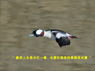   vȻǰæһ ,  ҲҪæúܿ옷cܳ䌍  
