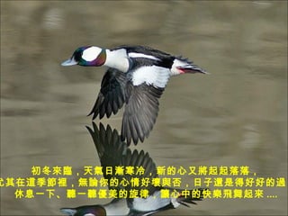 R՝u䣬µ֌䣬 @eoՓÉc߀ǵúúõ^ Ϣһ¡ һ ɣ׌еĿ옷w .... 