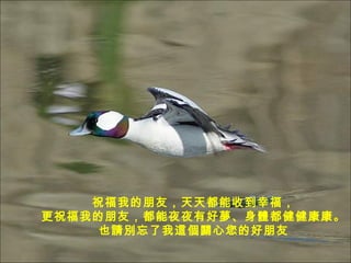 ףҵѣ춼յҸ ףҵѣҹҹкÉw ҲՈe@Pĺ 