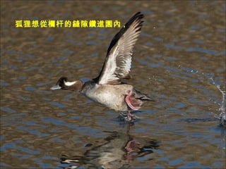 ęڸ˵Ŀp϶M@ , 