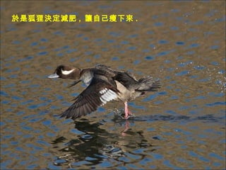 ǺQp ,  ׌Լ . 