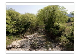 τοπια ανδρωνιάνοι εύβοια