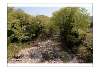 τοπια ανδρωνιάνοι εύβοια