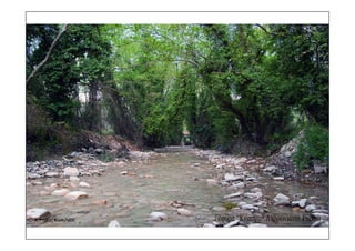 τοπια ανδρωνιάνοι εύβοια