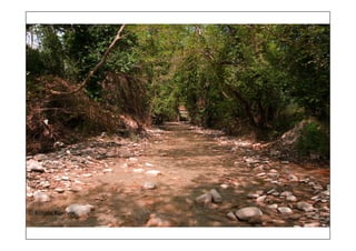 τοπια ανδρωνιάνοι εύβοια