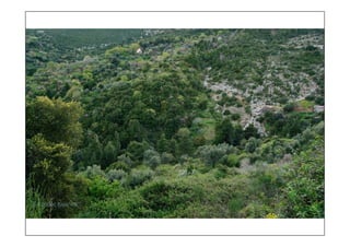 τοπια ανδρωνιάνοι εύβοια