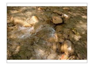 τοπια ανδρωνιάνοι εύβοια