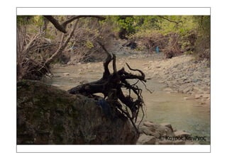 τοπια ανδρωνιάνοι εύβοια