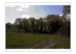 τοπια ανδρωνιάνοι εύβοια