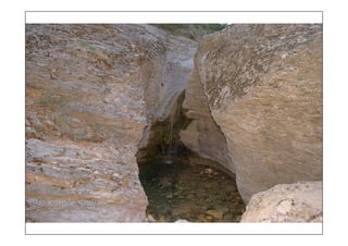 τοπια ανδρωνιάνοι εύβοια