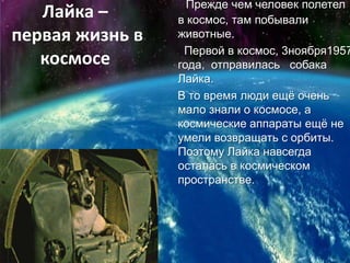 Прежде чем человек полетел в космос, там побывали животные.      Первой в космос, 3ноября1957 года,  отправилась  собака Лайка.     В то время люди ещё очень мало знали о космосе, а космические аппараты ещё не умели возвращать с орбиты. Поэтому Лайка навсегда осталась в космическом пространстве. Лайка – первая жизнь в     космосе