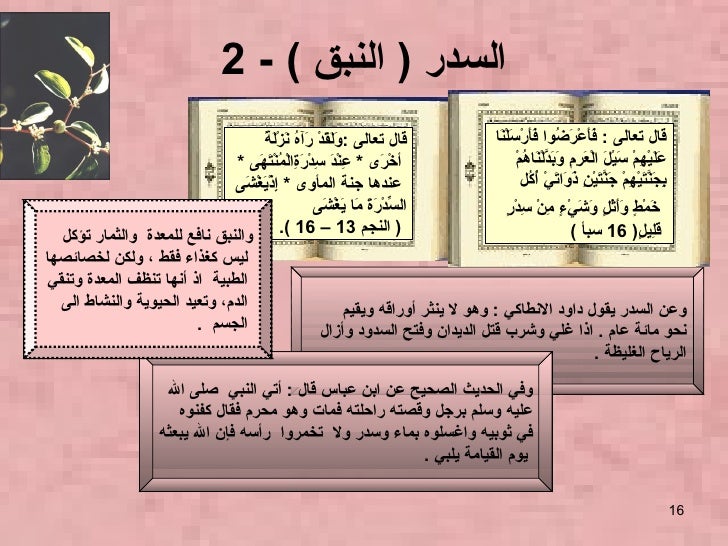 الطعام فى القرآن الكريم والسُنَّة النبوية -16-728