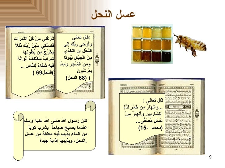 الطعام فى القرآن الكريم والسُنَّة النبوية -19-728