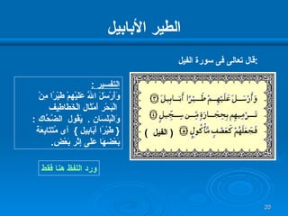 الطير الأبابيل ورد اللفظ هنا فقط التفسير  : وَأَرْسَلَ اللَّه عَلَيْهِمْ طَيْرًا مِنْ الْبَحْر أَمْثَال الْخَطَاطِيف  وَالْبَلَسَان   .  يَقُول  الضَّحَّاك  :  {  طَيْرًا أَبَابِيل  }  أى  مُتَتَابِعَة بَعْضهَا عَلَى إِثْر   بَعْض .  قال تعالى فى سورة الفيل  : (  الفيل  ) 