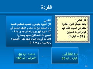 القردة التفسير  كان اليهود يقومون بنصب شباكهم للصيد  يوم السبت مع أنه محرم عليهم الصيد فى ذلك اليوم فهو يوم راحة وعيد وعبادة ، فمسخ الله المخالفين منهم وصاروا كالقردة فى نزواتها وشهواتها  وأصبحوا مبعدين من رحمة الله  . قال تعالى  : وَلَقَدْ عَلِمْتُمُ الَّذِينَ اعْتَدَواْ مِنكُمْ فِي السَّبْتِ فَقُلْنَا لَهُمْ كُونُواْ قِرَدَةً خَاسِئِينَ ( 65 –  البقرة  ) ورد اللفظ فى  : البقرة  :  آية  65 المائدة  :  آية  60  الأعراف  :  آية  166 