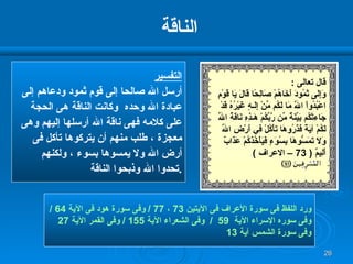 الناقة التفسير   أرسل الله صالحا إلى قوم ثمود ودعاهم إلى  عبادة الله وحده  وكانت الناقة هى الحجة  على كلامه فهى ناقة الله أرسلها إليهم وهى معجزة ، طلب منهم أن يتركوها تأكل فى أرض الله ولا يمسوها بسوء ، ولكنهم تحدوا الله وذبحوا الناقة  . ورد اللفظ فى سورة الأعراف فى الآيتين  73  ،  77 /  وفى سورة هود فى الآية  64 / وفى سوره الإسراء الآية  59  /  وفى الشعراء الآية  155 /  وفى القمر الآية  27 وفى سورة الشمس آية  13 قال تعالى  : وَإِلَى ثَمُودَ أَخَاهُمْ صَالِحًا قَالَ يَا قَوْمِ اعْبُدُواْ اللّهَ مَا لَكُم مِّنْ إِلَـهٍ غَيْرُهُ قَدْ جَاءتْكُم بَيِّنَةٌ مِّن رَّبِّكُمْ هَـذِهِ نَاقَةُ اللّهِ لَكُمْ آيَةً فَذَرُوهَا تَأْكُلْ فِي أَرْضِ اللّهِ وَلاَ تَمَسُّوهَا بِسُوَءٍ فَيَأْخُذَكُمْ عَذَابٌ أَلِيمٌ  ( 73 –  الاعراف  ) 