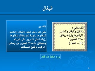 البغال التفسير خلق لكم ربكم الخيل والبغال والحمير لتتخذوها ركوبة لكم وكذلك تتخذوها زينة تدخل السرور على قلوبكم  . وسيخلق الله ما لا تعلمون من وسائل الركوب وقطع المسافات  . ورد اللفظ هنا فقط قال تعالى  : وَالْخَيْلَ وَالْبِغَالَ وَالْحَمِيرَ لِتَرْكَبُوهَا وَزِينَةً وَيَخْلُقُ مَا لاَ تَعْلَمُونَ  * ( 8 –  النحل  ) 