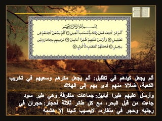 وأرسل عليهم طيرا أبابيل :  جماعات متفرقة .  وهي طير سود جاءت من قبل البحر، مع كل طائر ثلاثة أحجار :  حجران في رجليه وحجر في منقاره، لايصيب شيئا إلا هشمه ألم يجعل كيدهم في تظليل :  ألم يجعل مكرهم وسعيهم في تخريب الكعبة، ضلالا منهم أدى بهم إلى الهلاك سورة الفيل 