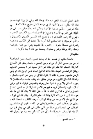 بد العارف ابن سبعين