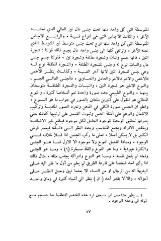 بد العارف ابن سبعين