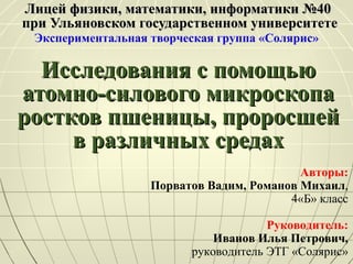 Лицей физики, математики, информатики №40  при Ульяновском государственном университете Исследования с помощью атомно-силового микроскопа ростков пшеницы, проросшей в различных средах Экспериментальная творческая группа «Солярис» Авторы: Порватов Вадим, Романов Михаил , 4«Б» класс Руководитель: Иванов Илья Петрович, руководитель ЭТГ «Солярис» 