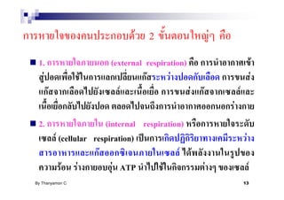 F 2                         F
 1.                        (external respiration)                                      F
   F              F                  F      F                                      F
       F                      F                   F   F               F
                                                                  F
 2.                        (internal respiration)
           F (cellular respiration)                                        F
                         F                      F F
              F F            F ATP         F              F                    F
By Thanyamon C.                                                           13
 