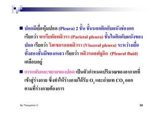 F       (Pleura) 2                       F
            F                             (Parietal pleura)
                        F                       (Visceral pleura)       F
                                             F                (Pleural fluid)
                    F

      F FF                            FF        F O2        F    CO2
                F               F

By Thanyamon C.                                                                 32
 