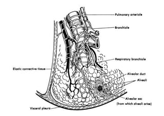 By Thanyamon C.   33
 