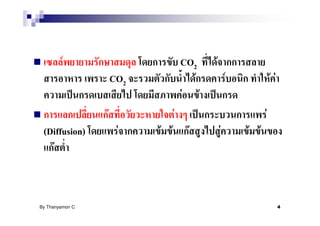 F                            CO2    F
                      CO2                F           F             F F
                                      F F
                  F               F                            F
 (Diffusion)           F    F F        F         F       F F
   F



By Thanyamon C.                                                          4
 