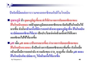 F
                  F                              F
                                    FF                                     F
                            F
       F                             F               F F F   F
                          F F
pH         pH                   (                )
                                         F   F
  F                                                  CO2         pH
                                F O2 F F              F
By Thanyamon C.                                                       48
 