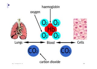 By Thanyamon C.   53
 