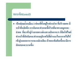 (tonsil)

•         F                   2 F           F        F
     F
                       F FF             F                       F
              F                                     F F   F F
    F F                             F           F
 