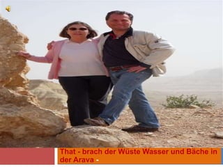 That - brach der Wüste Wasser und Bäche in
der Arava -
 