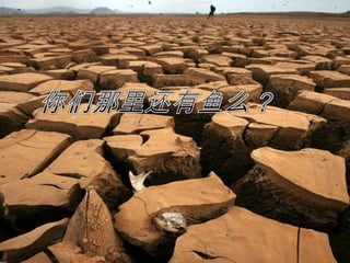 你们那里还有鱼么？