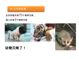 举措—农业污染清洁生产充分利用农业生物资源和生物技术，减少农药、化肥等农用化学品的使用提高农业水利用率根据生态实行水旱作物合理布局，发展精准灌溉，提高农民节水意识