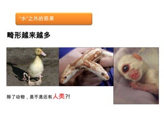 现状—工业污染目前很难找到官方的数据显示污染的严重性根据公众环境研究中心收集的数据显示，被各地环保部门以及各级媒体曝光的污染企业有5万多家江苏滨海头罾沿海化工园区有一百多家化工厂，有一部分通过排水沟进入大海，有一部分特别浓的污水存放在5个“污水暂存池” 每月二次小潮来时就把“污水暂存池”的污水排入大海河南安阳钢铁厂出来的污水流入安阳河