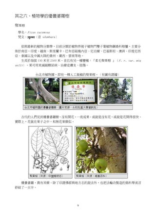 偽科學 優曇婆羅花 樹