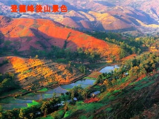 登龍峰後山景色 