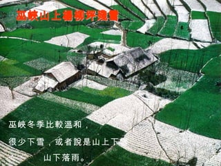 巫峽山上楊柳坪殘雪 巫峽冬季比較溫和， 很少下雪，或者說是山上下雪， 山下落雨。 