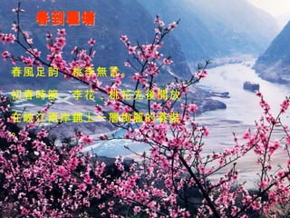 春到瞿塘 春風足韵，桃李無言。 初春時節，李花，桃花先後開放， 在峽江兩岸鋪上一層絢麗的春裝。 