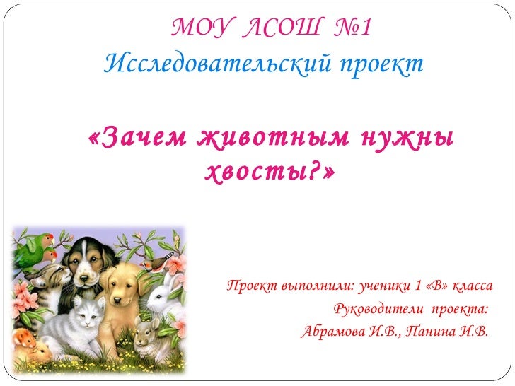 Почему животные одинаковые. Зачем нужны животные. проект зачем нужны хвосты. зачем нужны питомцы школьникам. зачем животным хвост?.
